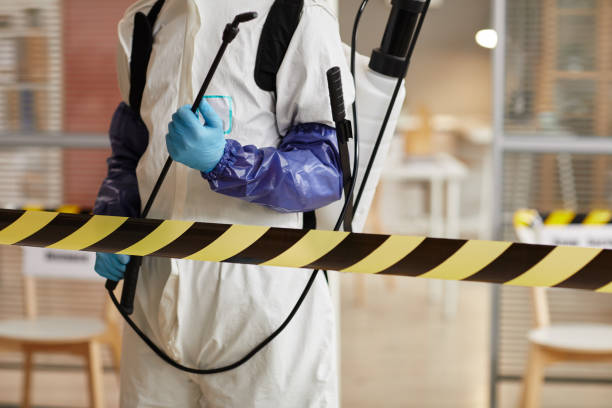Professional Sewage Cleanup technician working in Woodstock, NH